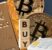 Oro e Bitcoin: evoluzione degli asset rifugio in un’economia incerta