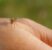 Acquistare un test per il West Nile: quando ha senso e perché farlo ora